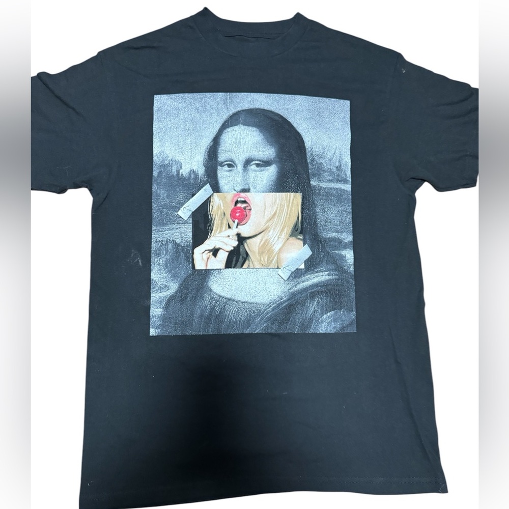 Leonardo da Vinci's famous painting, the Mona Lisa.